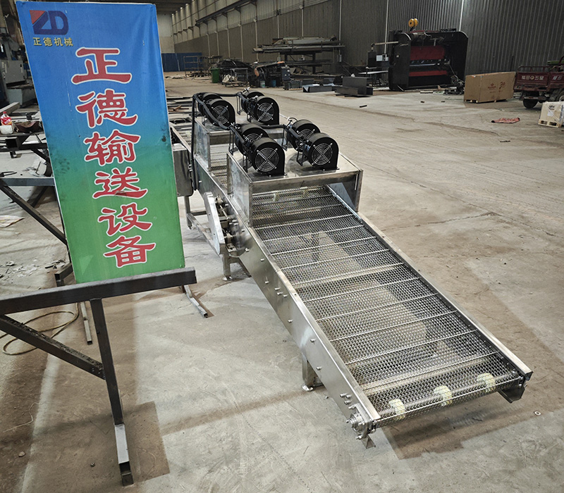 雙層網(wǎng)帶輸送機(jī)